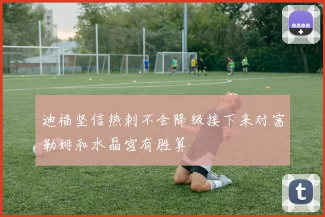 迪福坚信热刺不会降级接下来对富勒姆和水晶宫有胜算