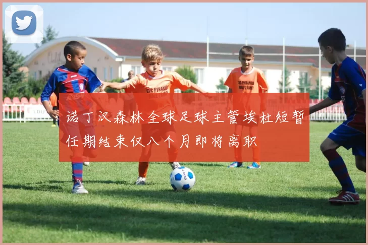诺丁汉森林全球足球主管埃杜短暂任期结束仅八个月即将离职