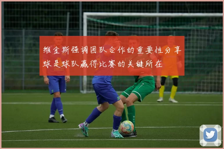 维金斯强调团队合作的重要性分享球是球队赢得比赛的关键所在